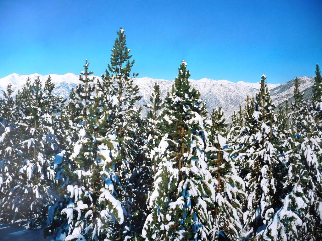 Easyloc Andorra Appartements, Studios - Pieds De Pistes Pas De La Casa Εξωτερικό φωτογραφία